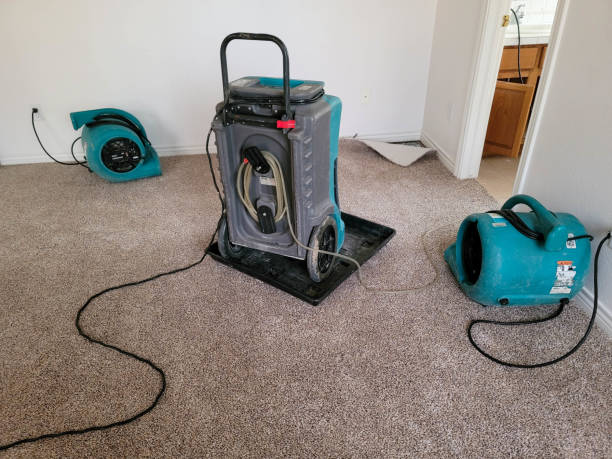 Best Flood damage cleanup  in Brooklyn, OH