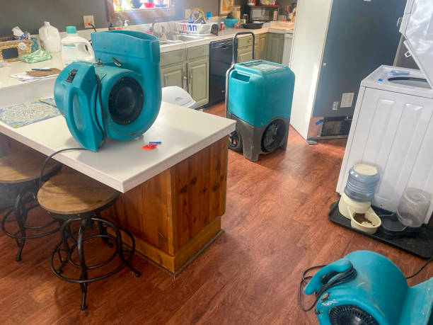 Best Flooded house restoration  in Brooklyn, OH