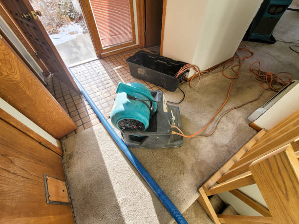 Best Water damage cleanup near me  in Brooklyn, OH