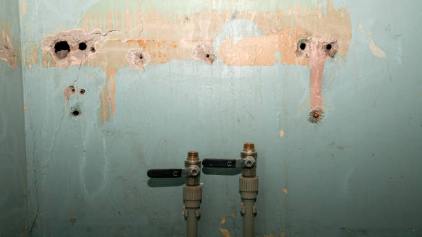 Best Fire Damage Restoration  in Brooklyn, OH